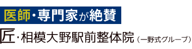 「匠・相模大野駅前整体院」 ロゴ